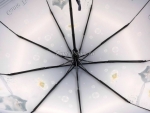 Зонт  женский Amico 122-10_product